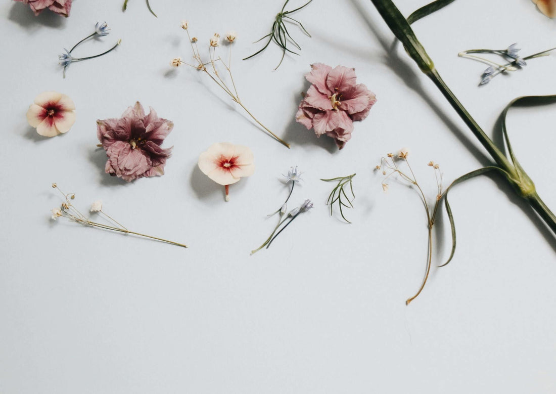 C'est quoi l'art floral ? - Lichen & CO