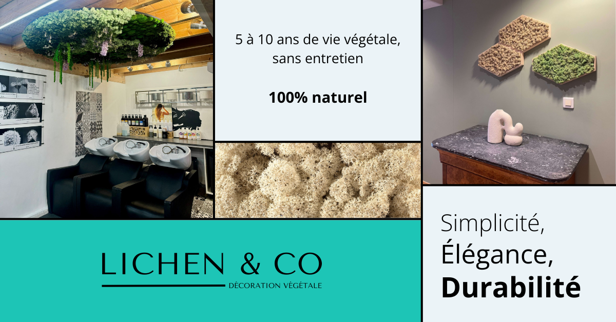L'art de la décoration végétale contemporaine
– Lichen & CO
