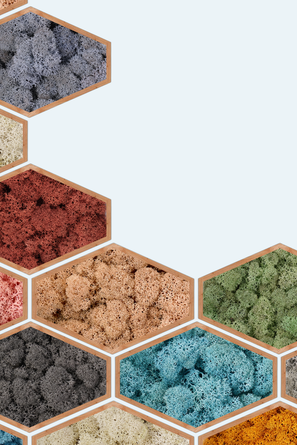 Tableau végétal hexagonal, multicolor Lichen&CO