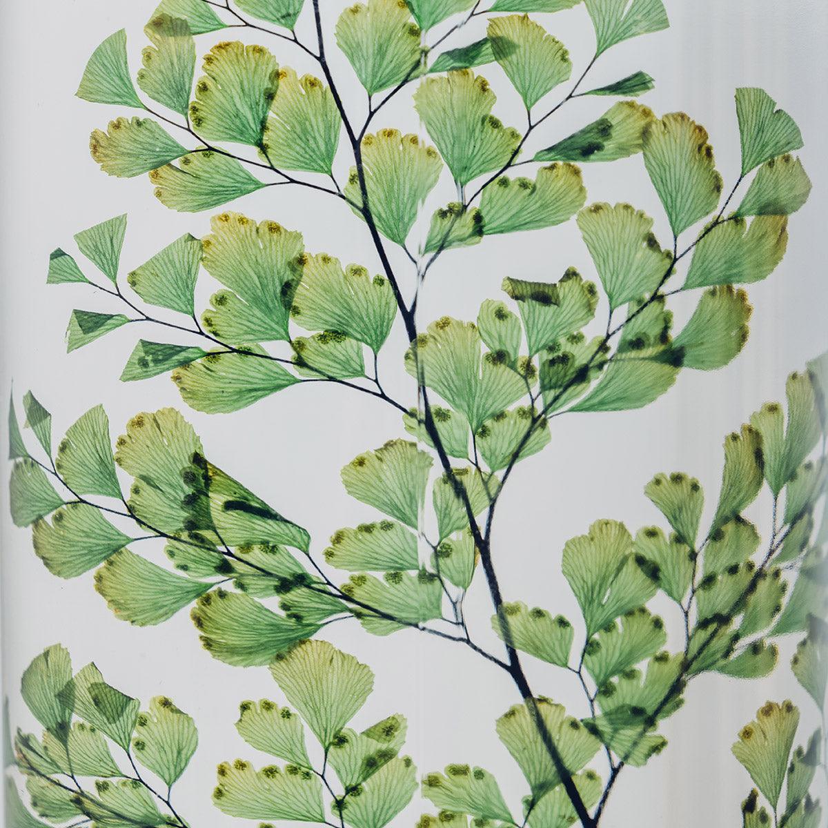Plante immergée - Fougère Luthi verte H26 Lichen&CO Composition Florale