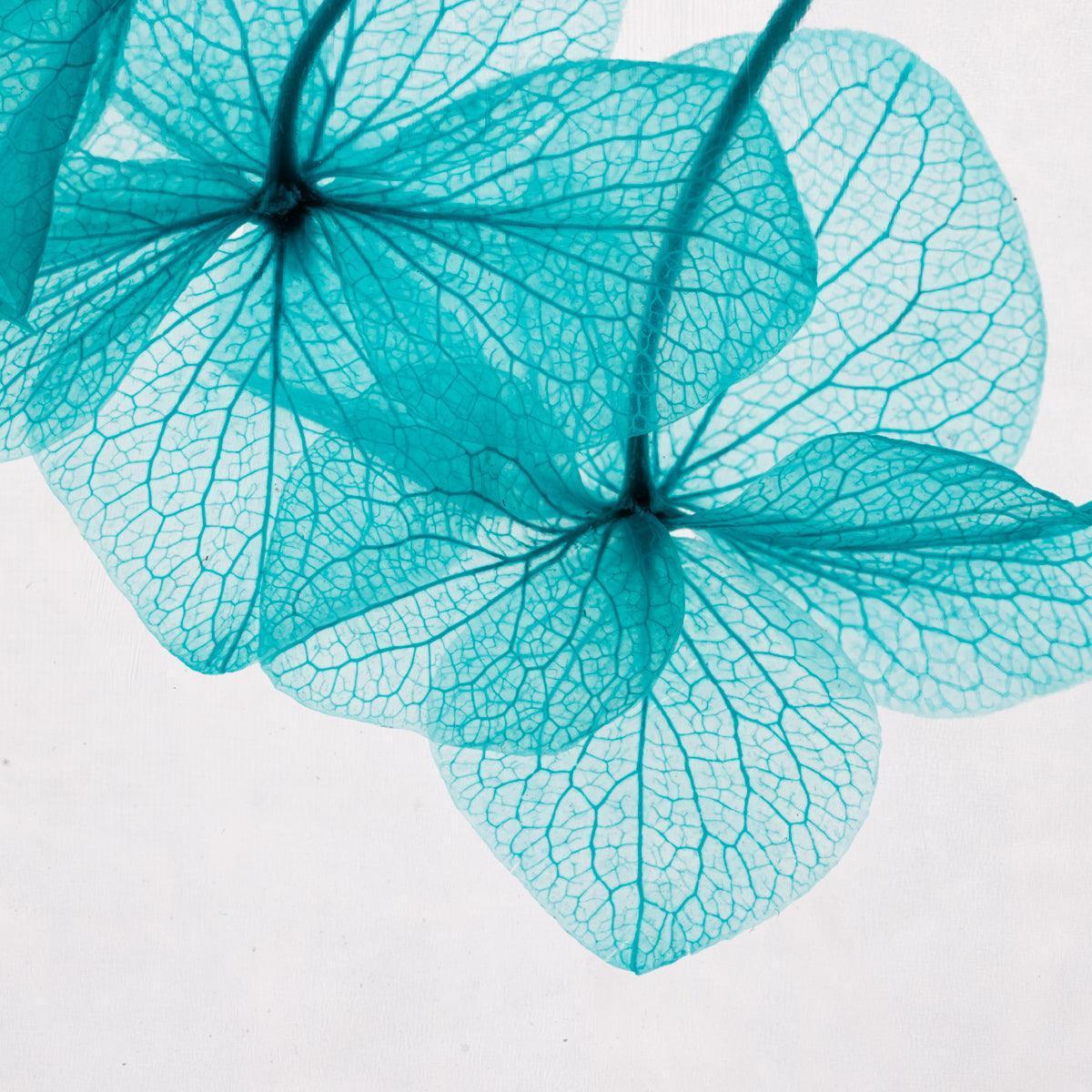Fleur immergée - Hortensia bleu H12 Lichen&CO Composition Florale
