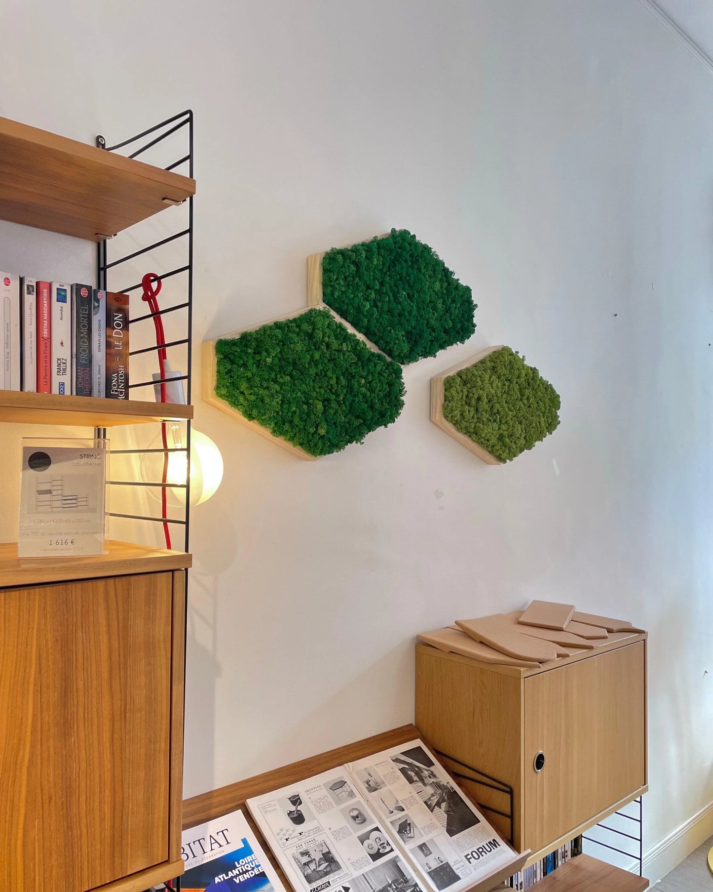 Mosaïque 3 tableaux végétaux stabilisés hexagonaux 50x32 cm Vert Pomme et Vert Forêt Lichen & CO Tableau végétal