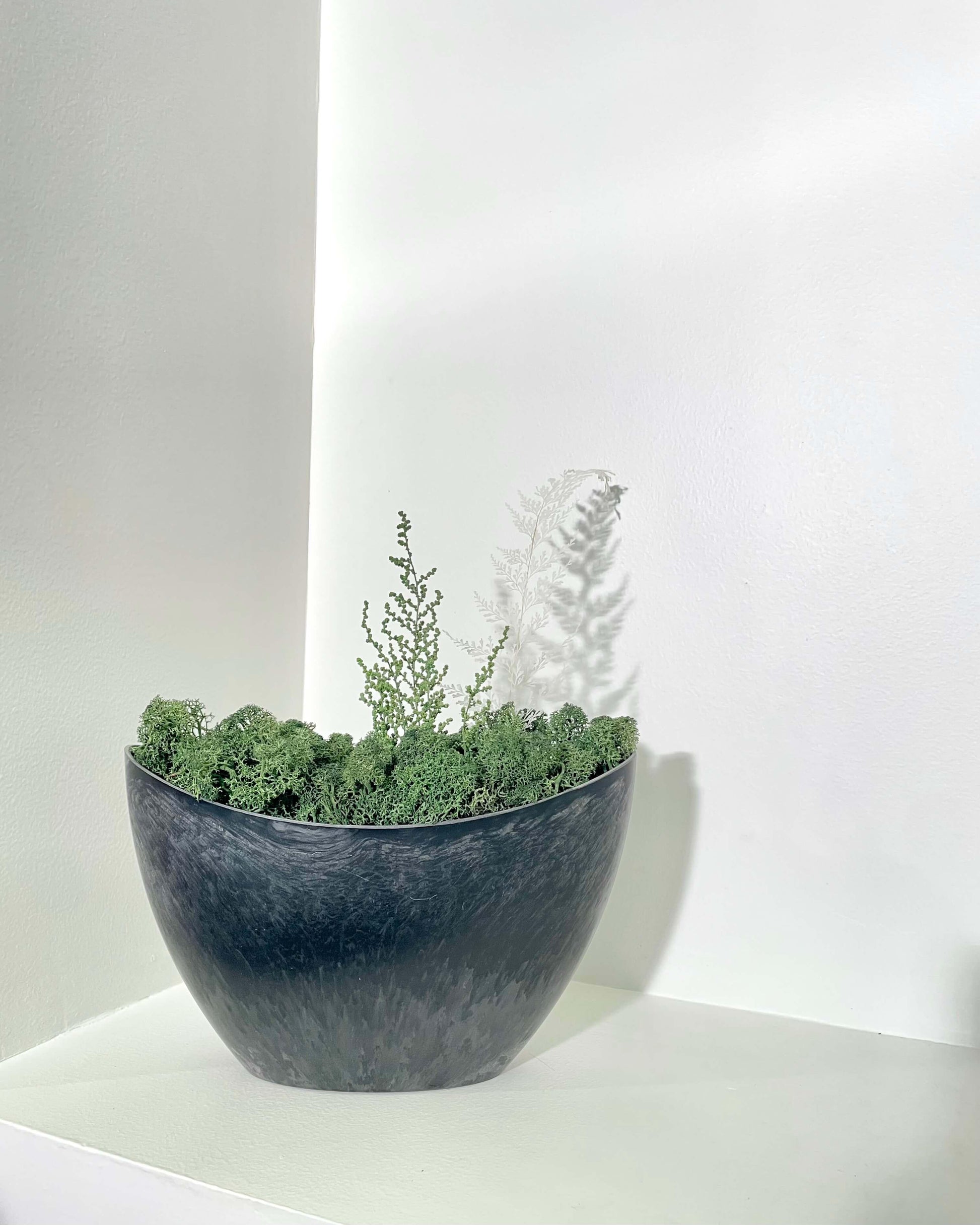 Composition Florale GERNY Lichen&CO Composition Florale