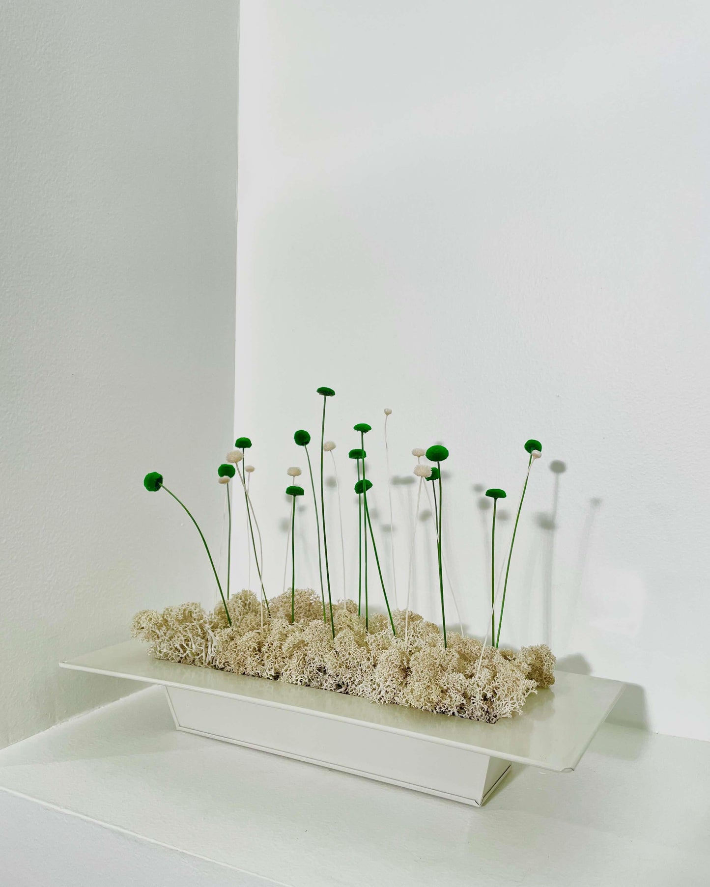 Composition Florale MINNA Lichen&CO Composition Florale
