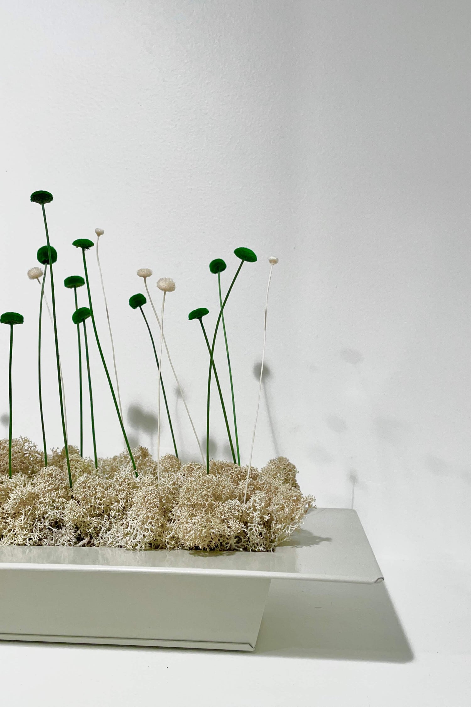 Composition Florale MINNA Lichen&CO Composition Florale
