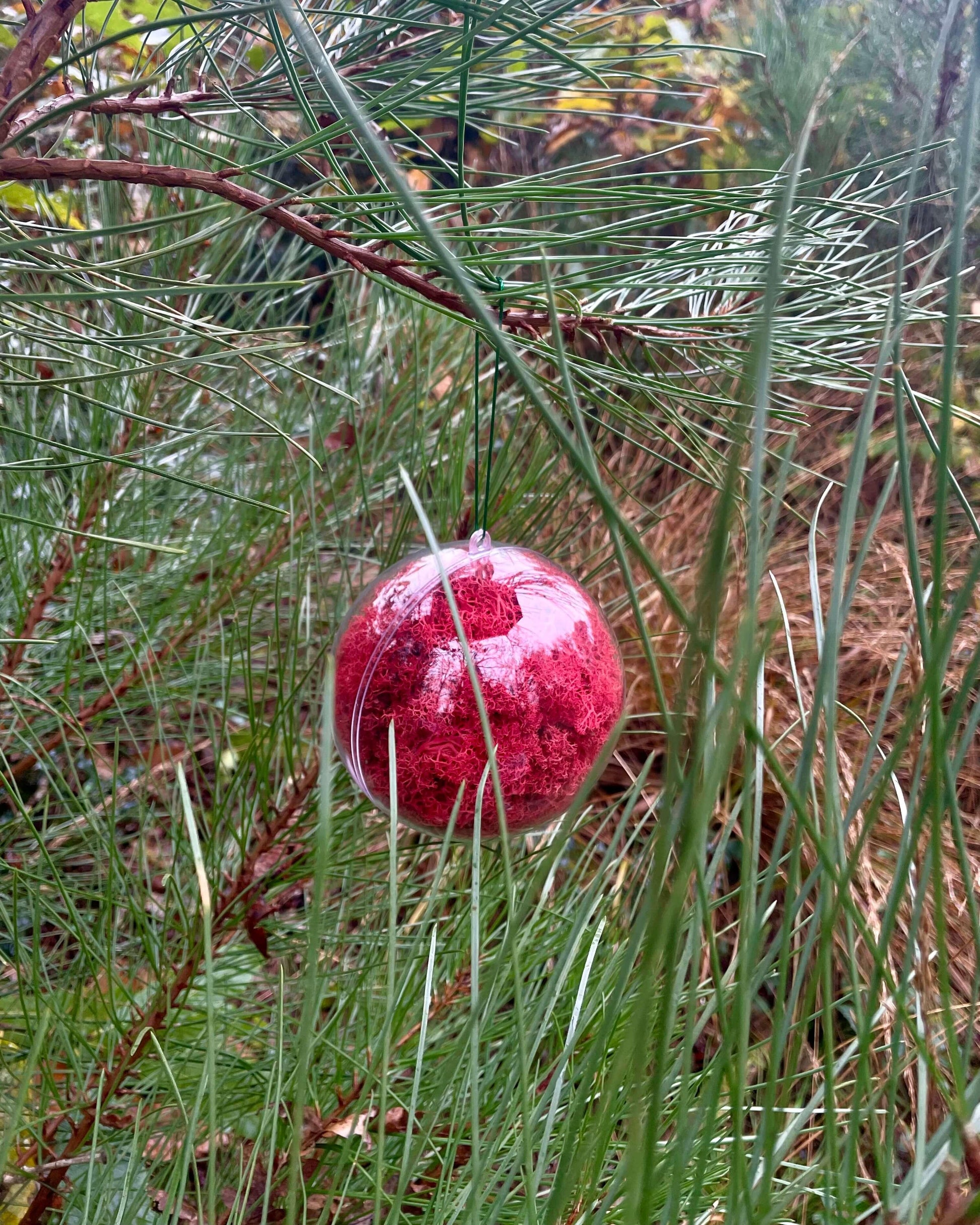 Boule Décorative 12cm Lichen&CO Boule décorative