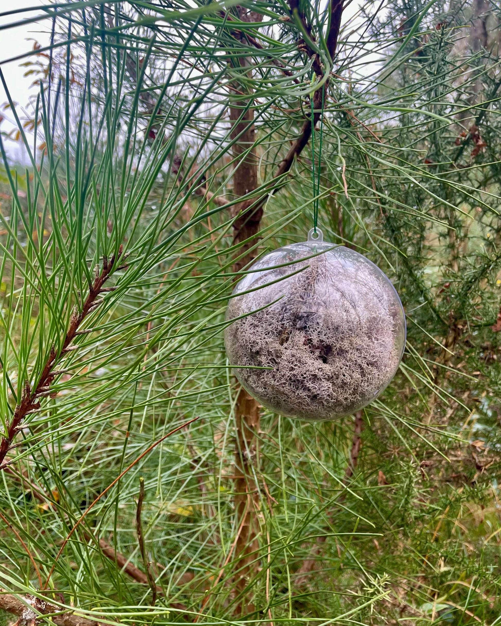 Boule Décorative 12cm Lichen&CO Boule décorative