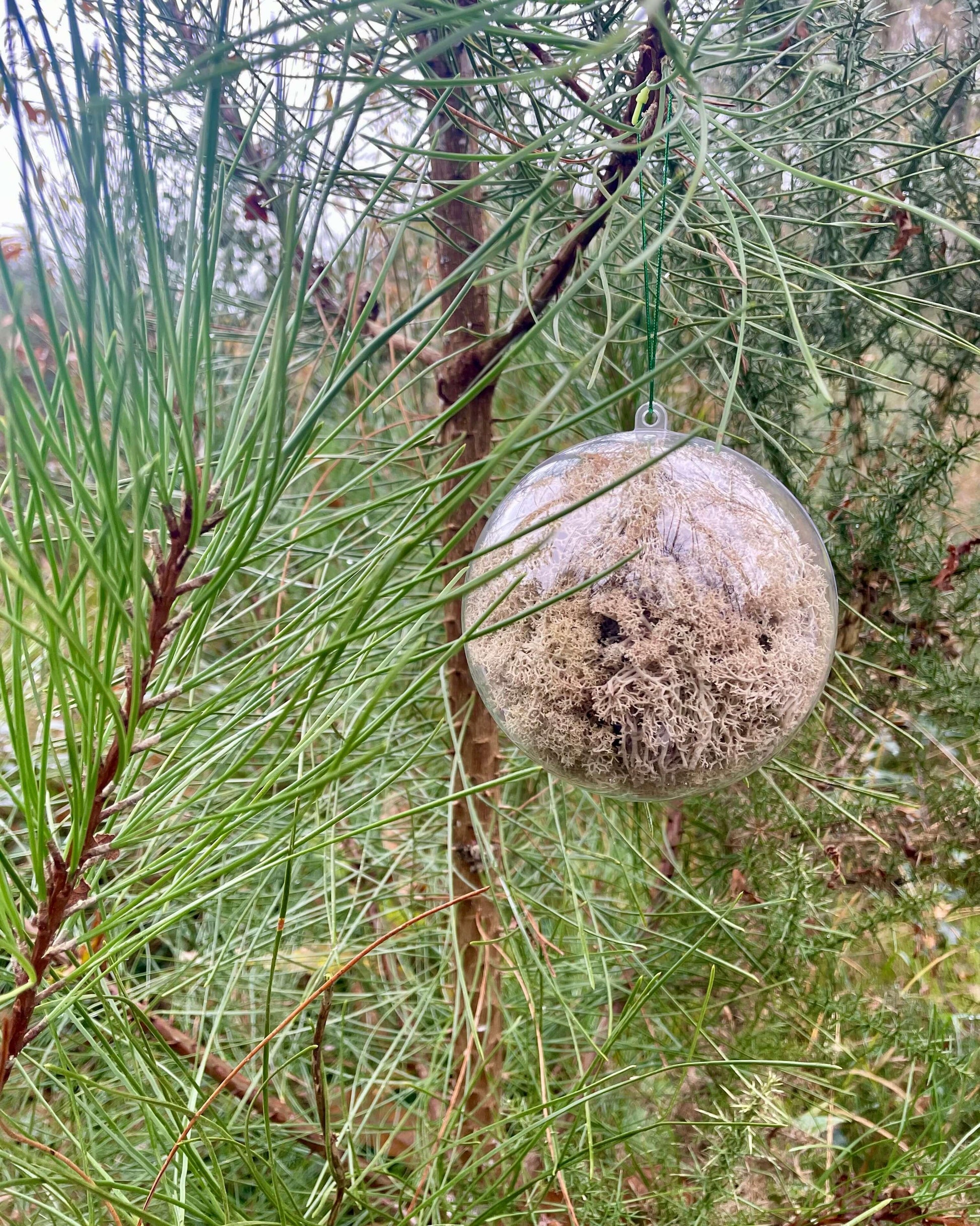 Boule Décorative 12cm Lichen&CO Boule décorative