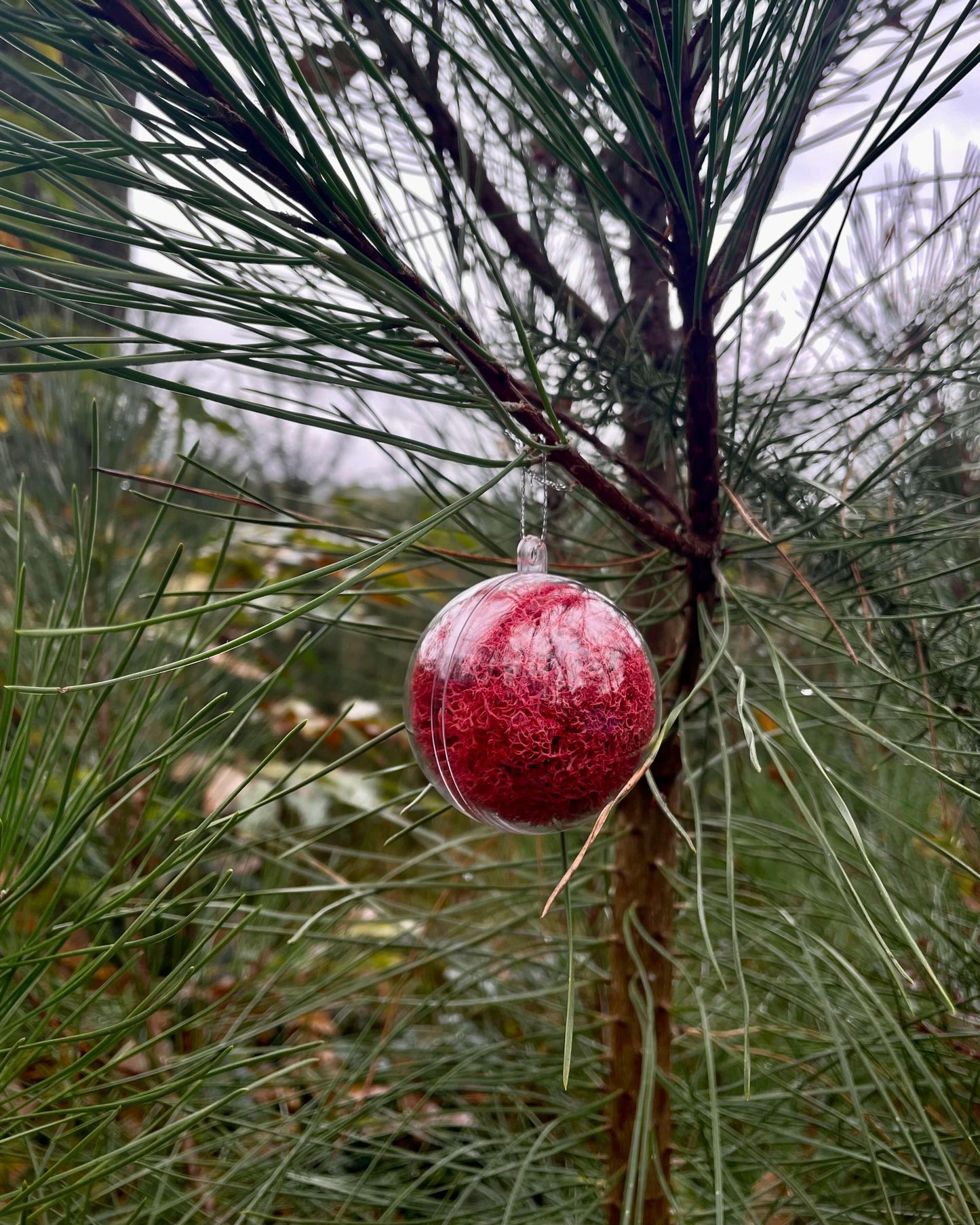 Boule Décorative 6cm Lichen&CO Boule décoratives