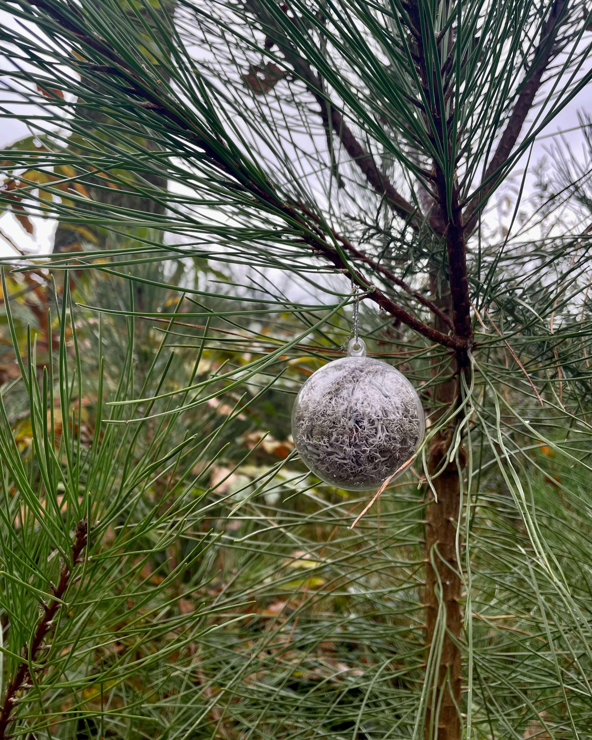 Boule Décorative 6cm Lichen&CO Boule décoratives