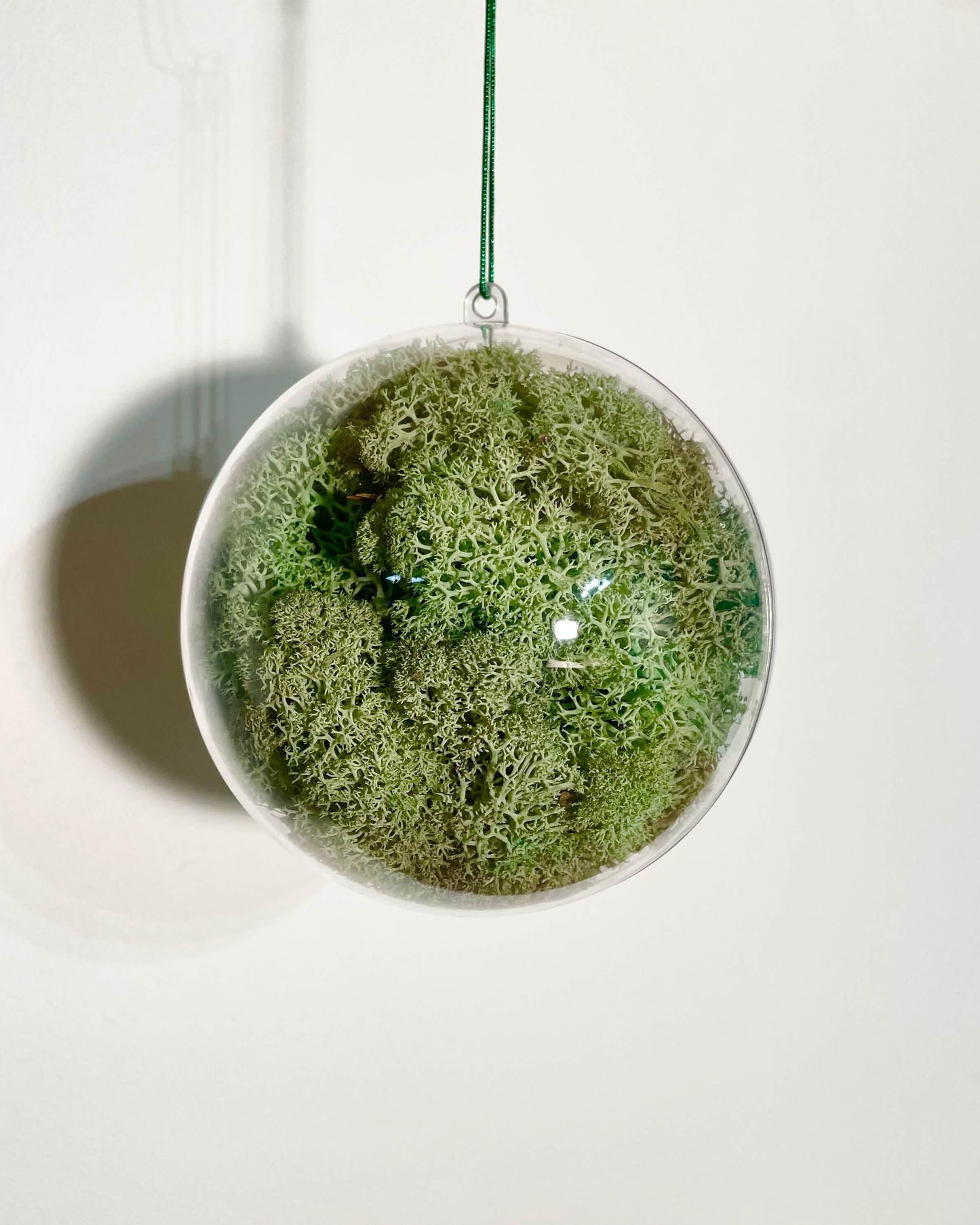 Boule Décorative 6cm Vert menthe Lichen&CO Boule décoratives