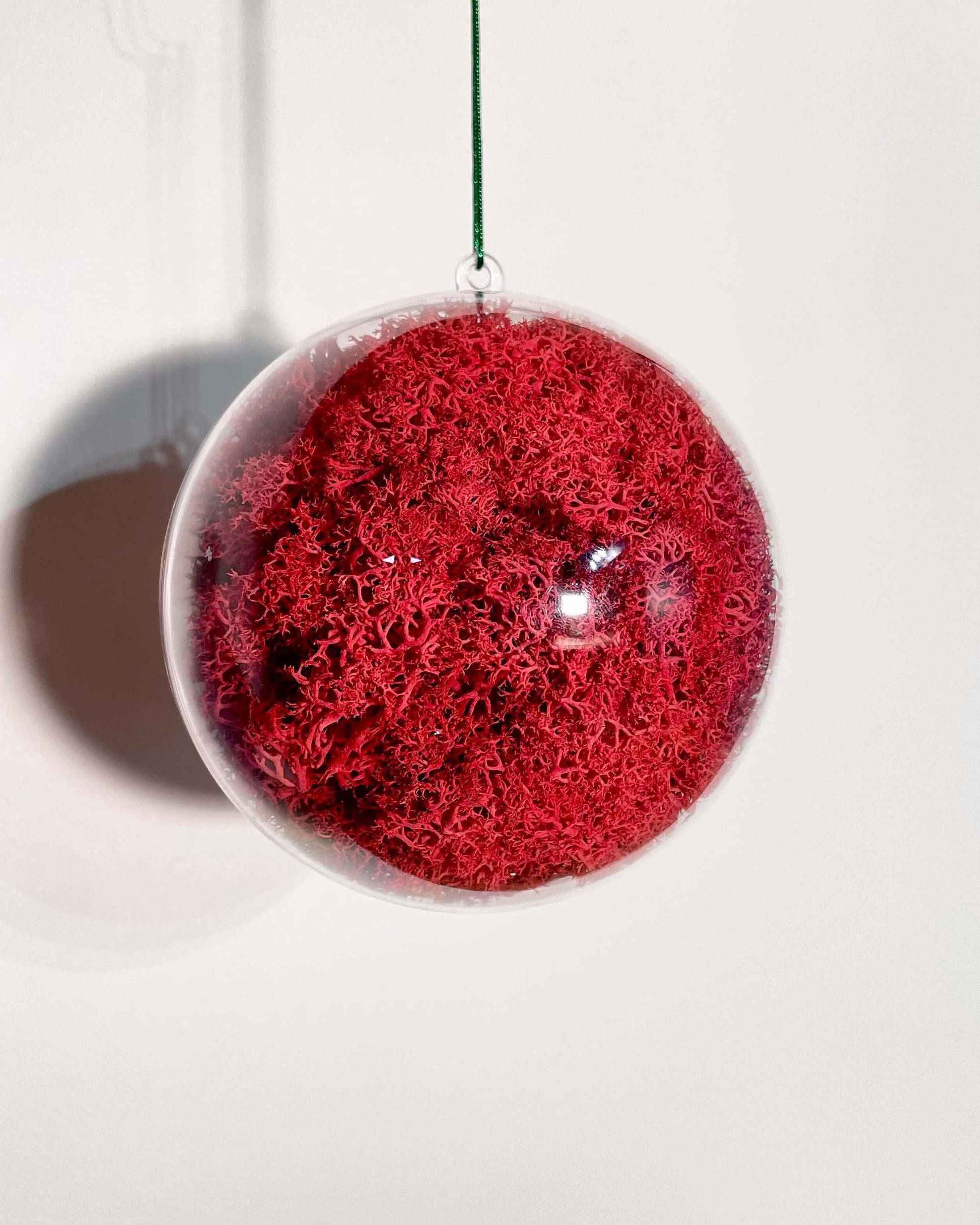 Boule Décorative 6cm Rouge Lichen&CO Boule décoratives