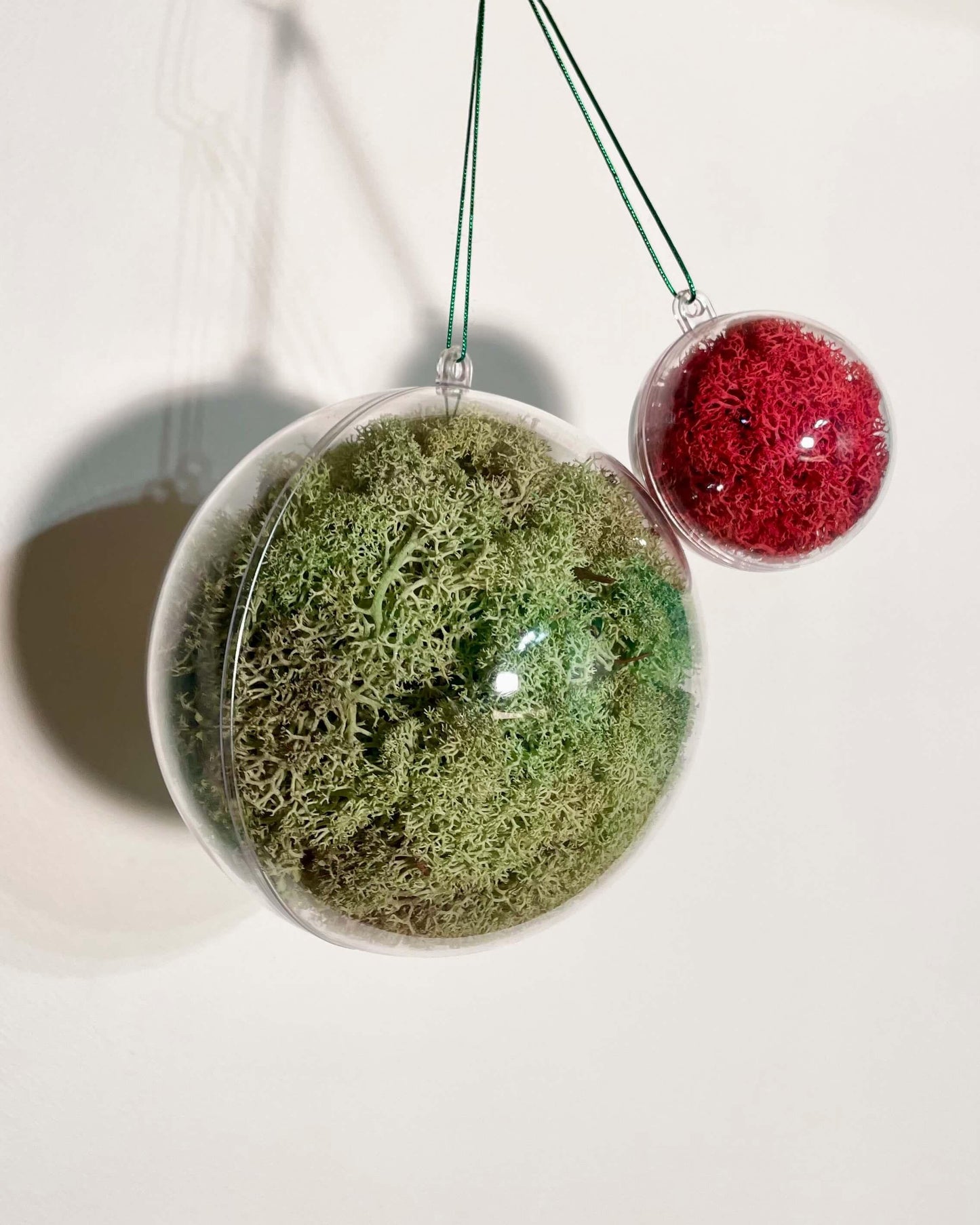 Boule Décorative 6cm Lichen&CO Boule décoratives