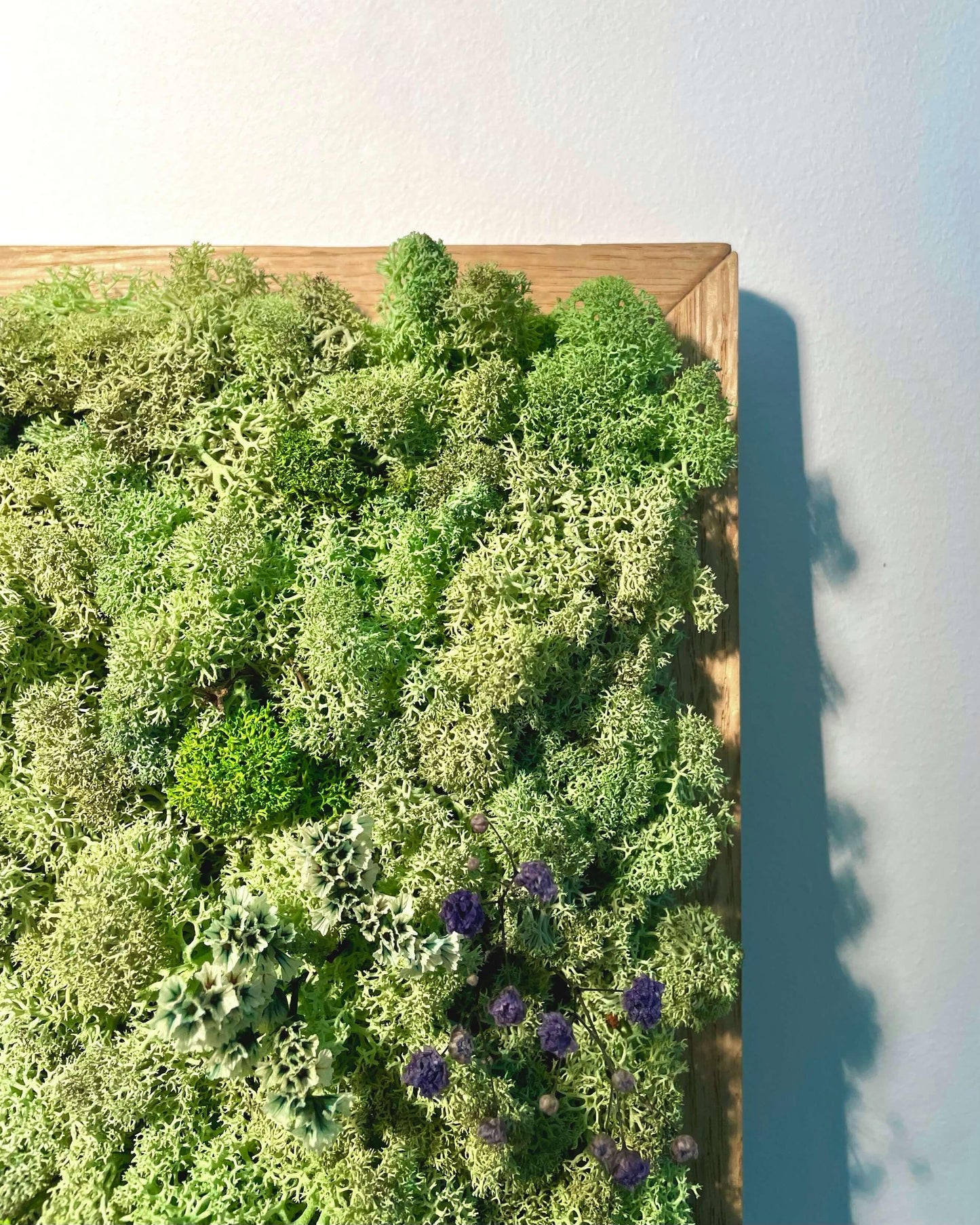 Tableau végétal - Vente particulière Lichen & CO Tableau végétal