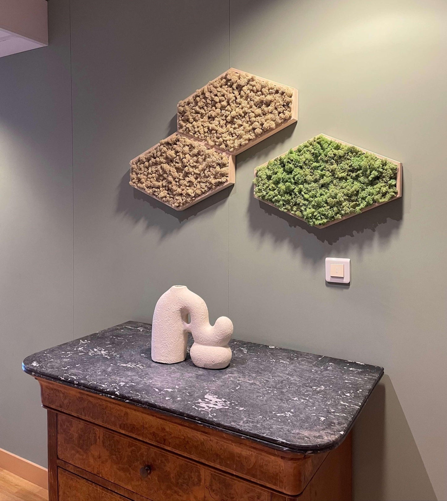 Mosaïque 3 tableaux végétaux stabilisés hexagonaux