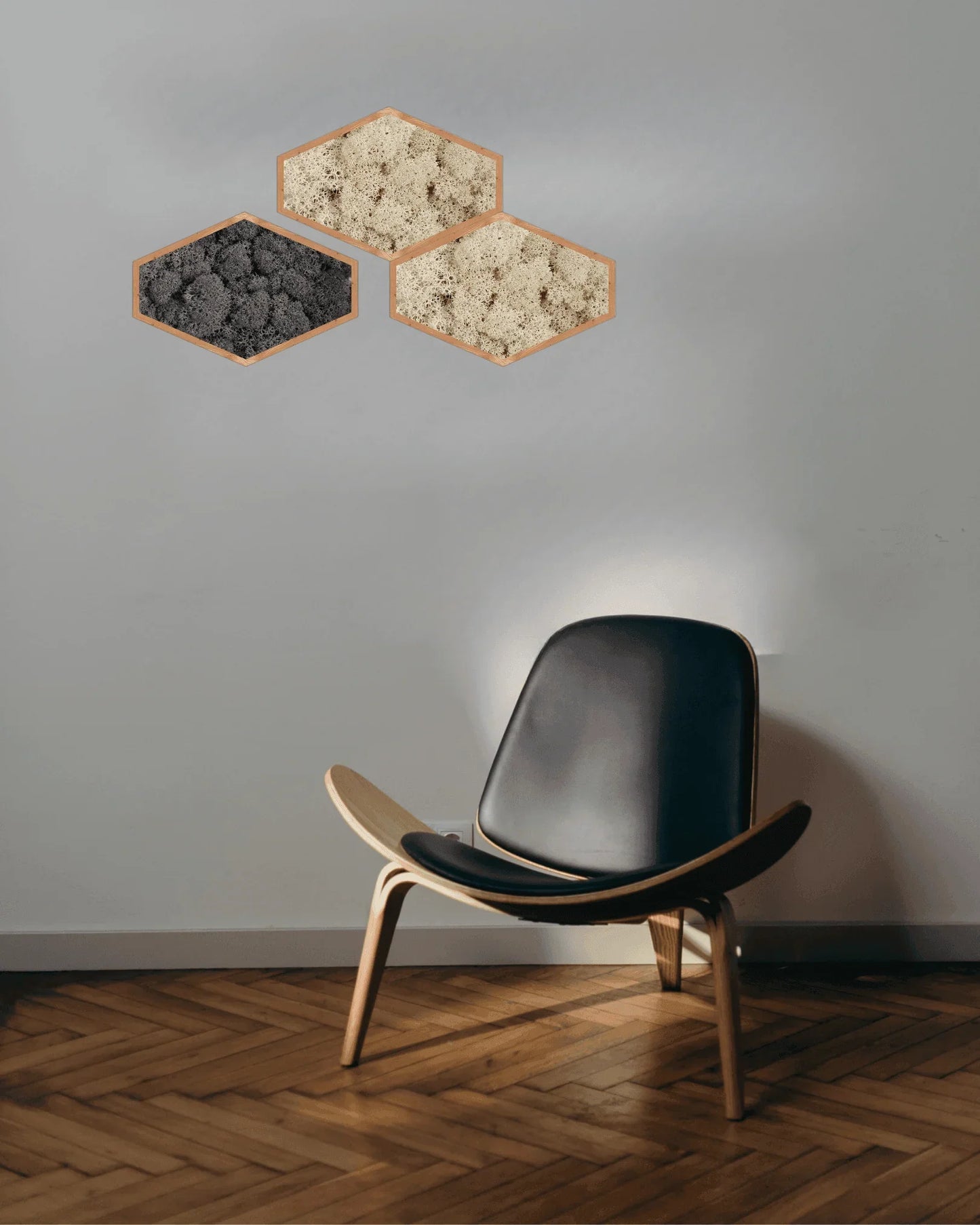Mosaïque 3 tableaux végétaux stabilisés hexagonaux 50x32 cm Noir Lichen & CO Tableau végétal