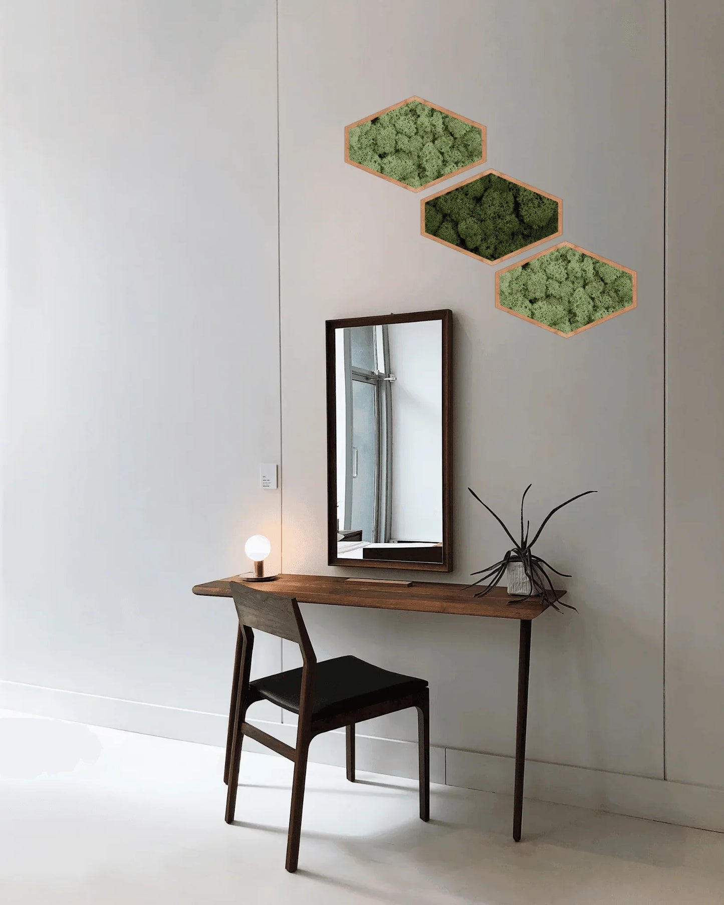 Mosaïque 3 tableaux végétaux stabilisés hexagonaux Lichen & CO Tableau végétal