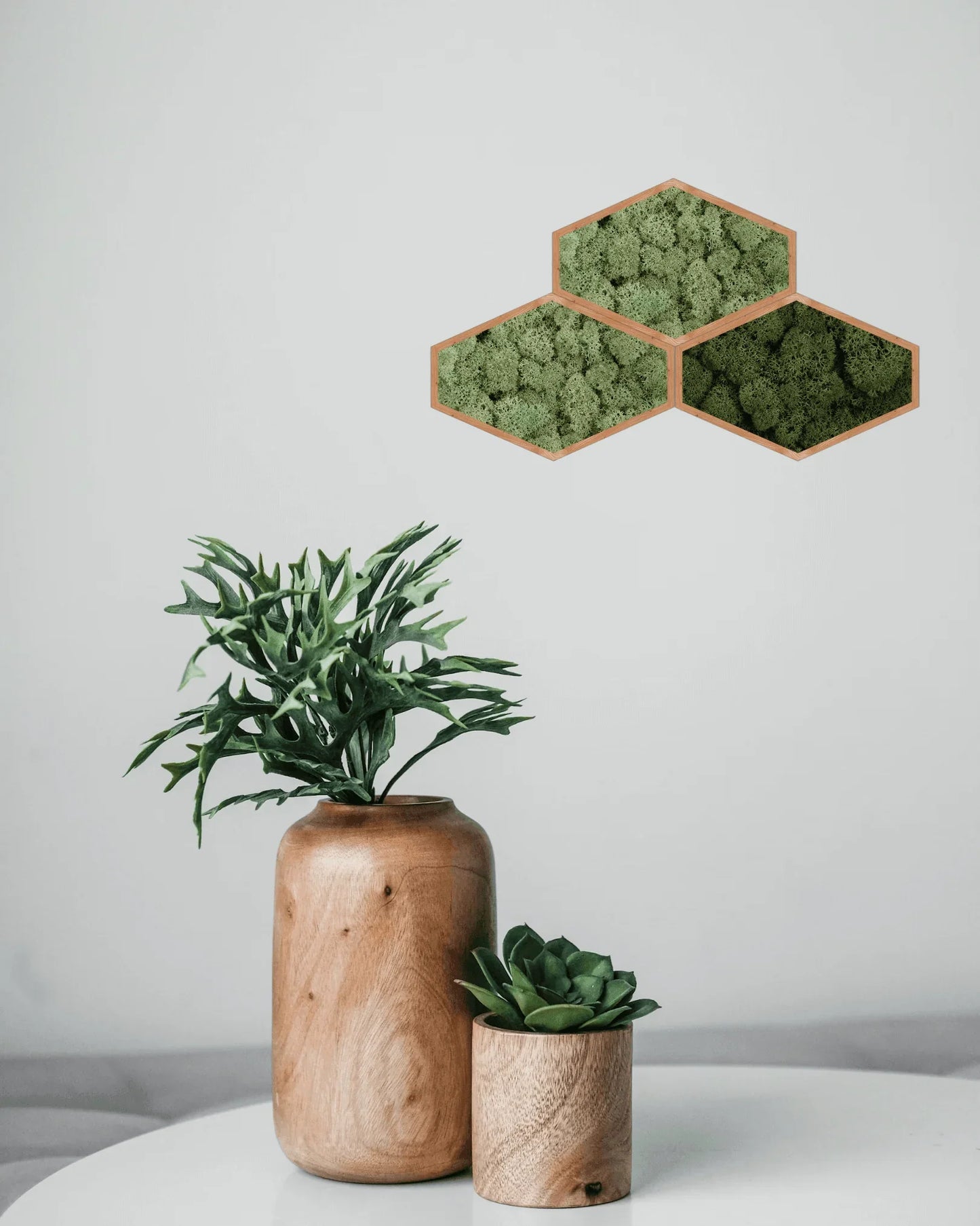 Mosaïque 3 tableaux végétaux stabilisés hexagonaux 25x16 cm Vert Pomme et Vert Forêt Lichen & CO Tableau végétal