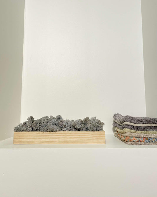 Composition lichen avec un support en bois massif posé sur une tablette blanche. Le lichen stabilisé est bleu glacial