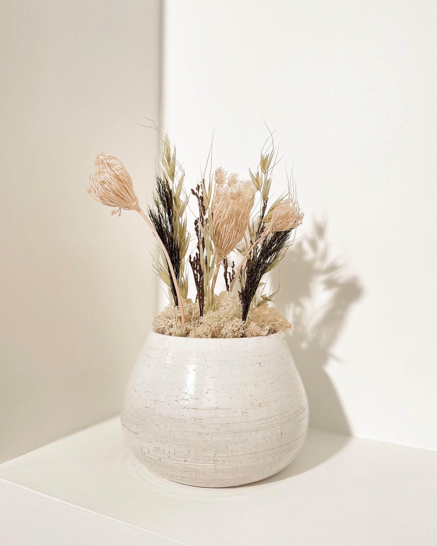 Composition Florale PINJA Lichen&CO Composition Florale