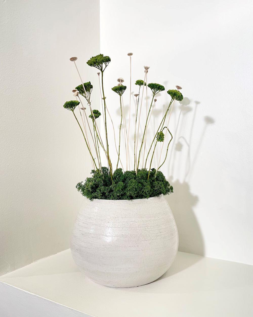 Composition Florale KATJA Lichen&CO Composition Florale