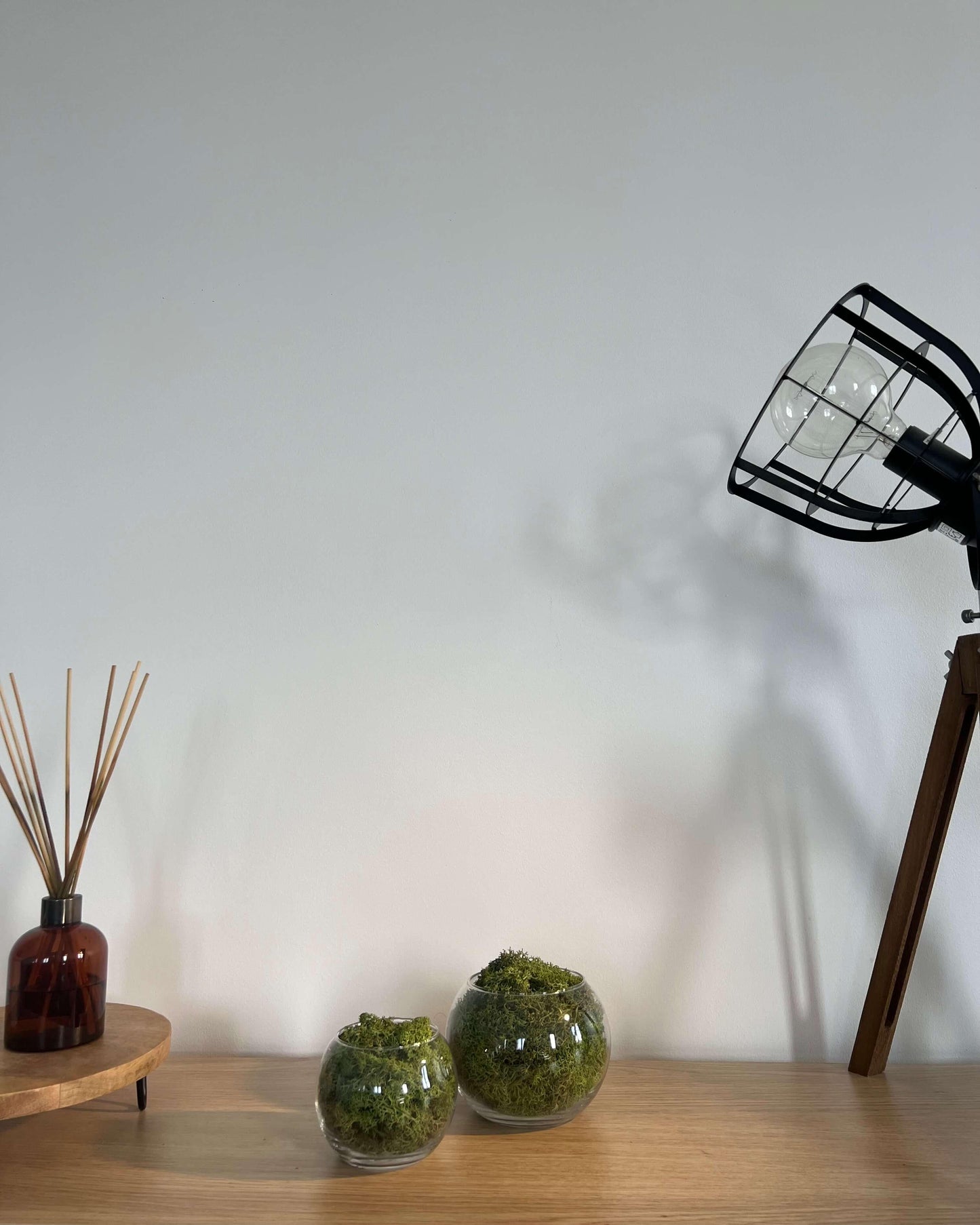 Composition Bulle BLANKA Petite Vert pomme Lichen & CO