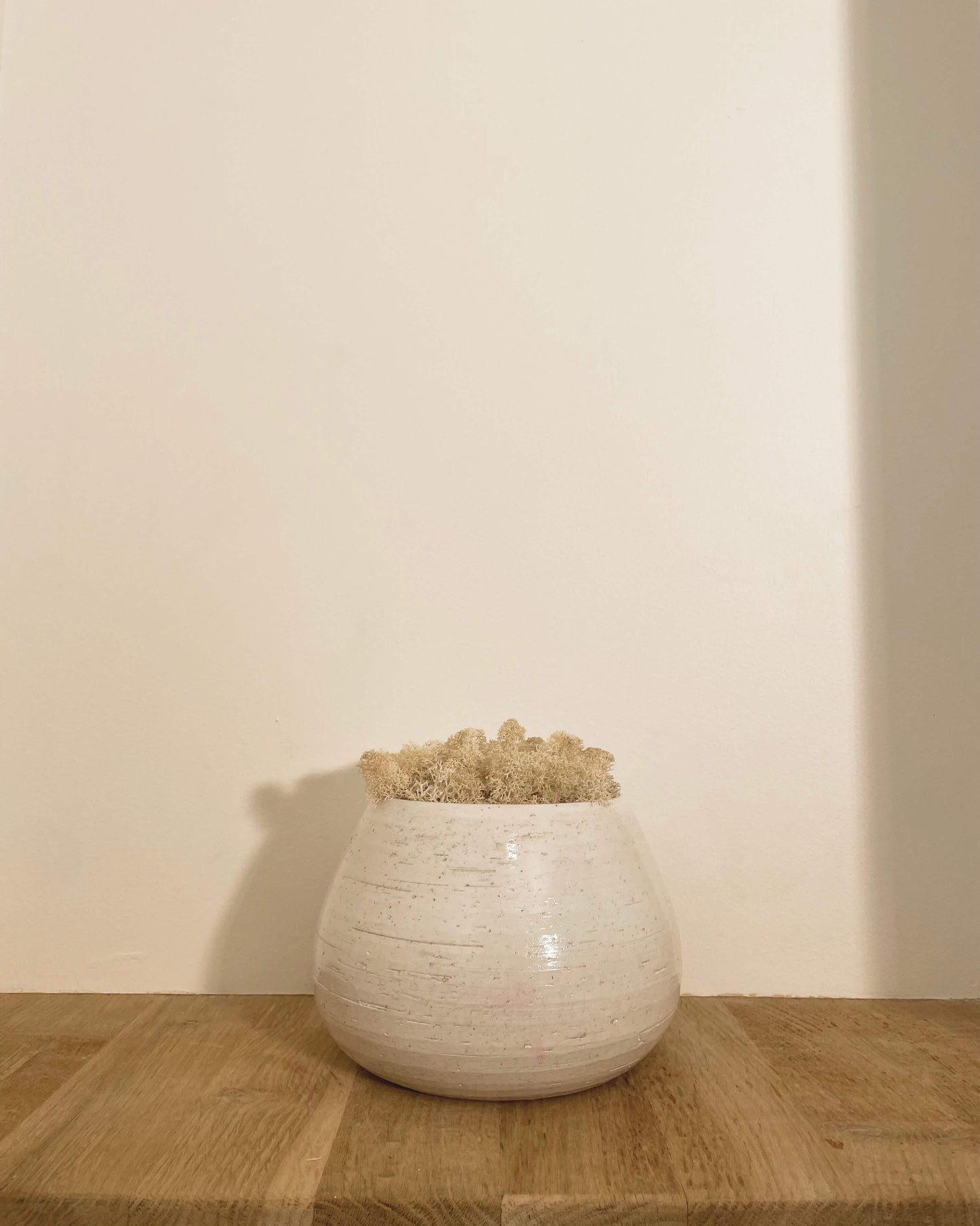 Composition Vase JILL Naturel Lichen & CO