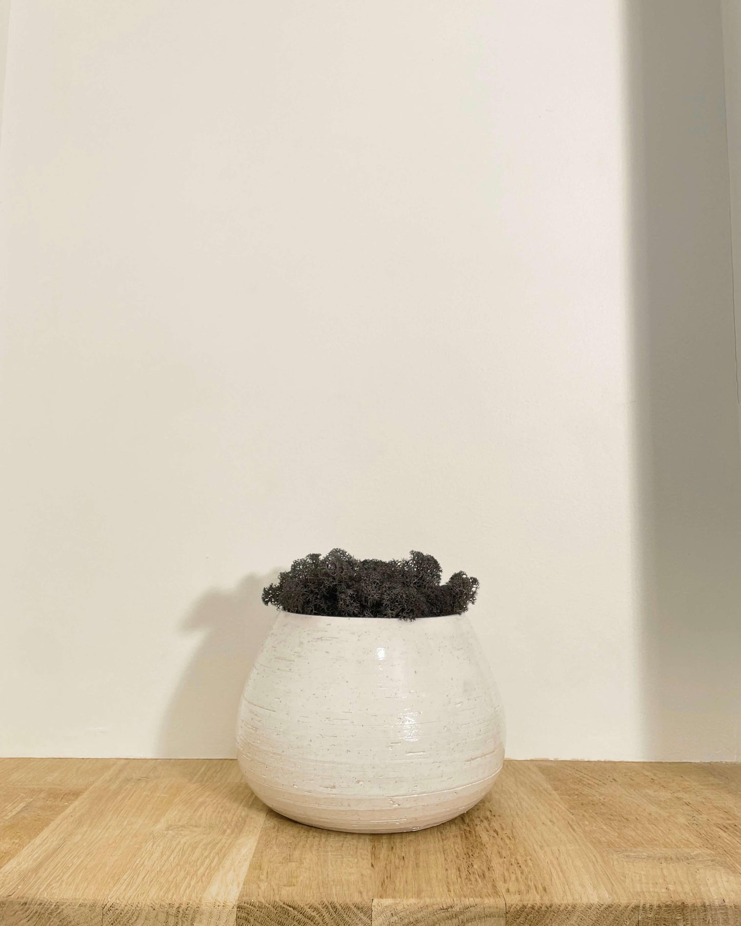 Composition Vase JILL Noir Lichen & CO