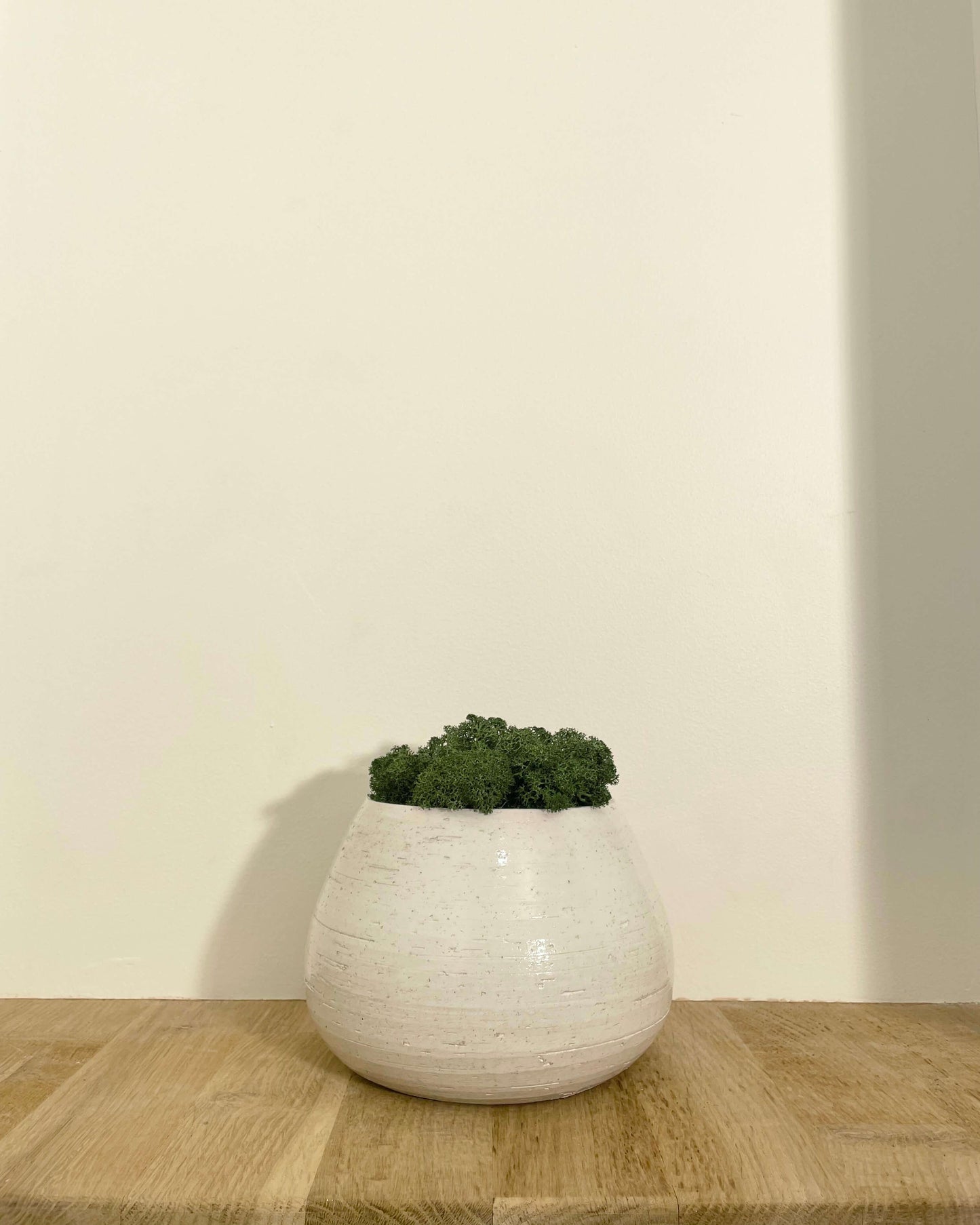 Composition Vase JILL Vert forêt Lichen & CO