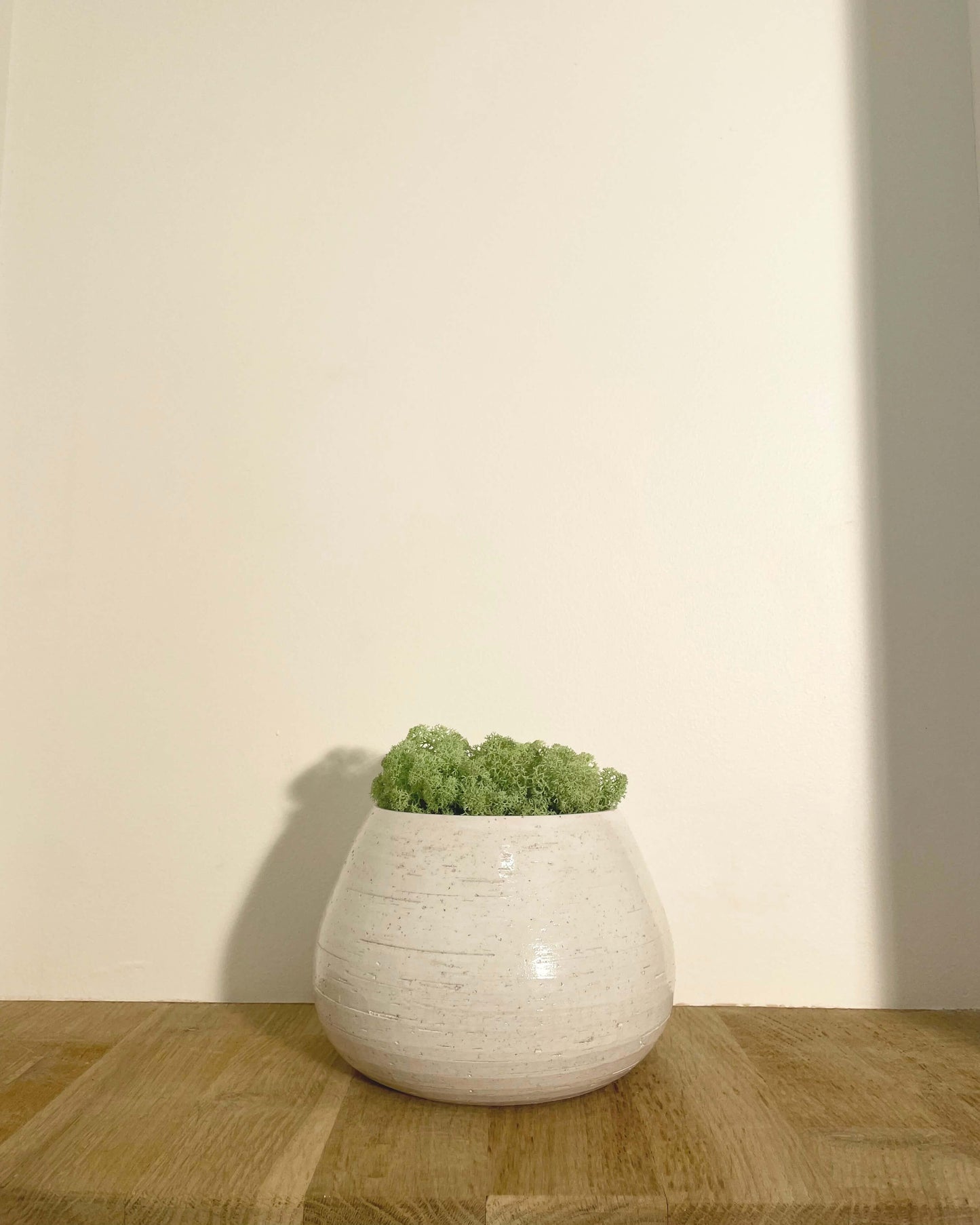 Composition Vase JILL Vert menthe Lichen & CO