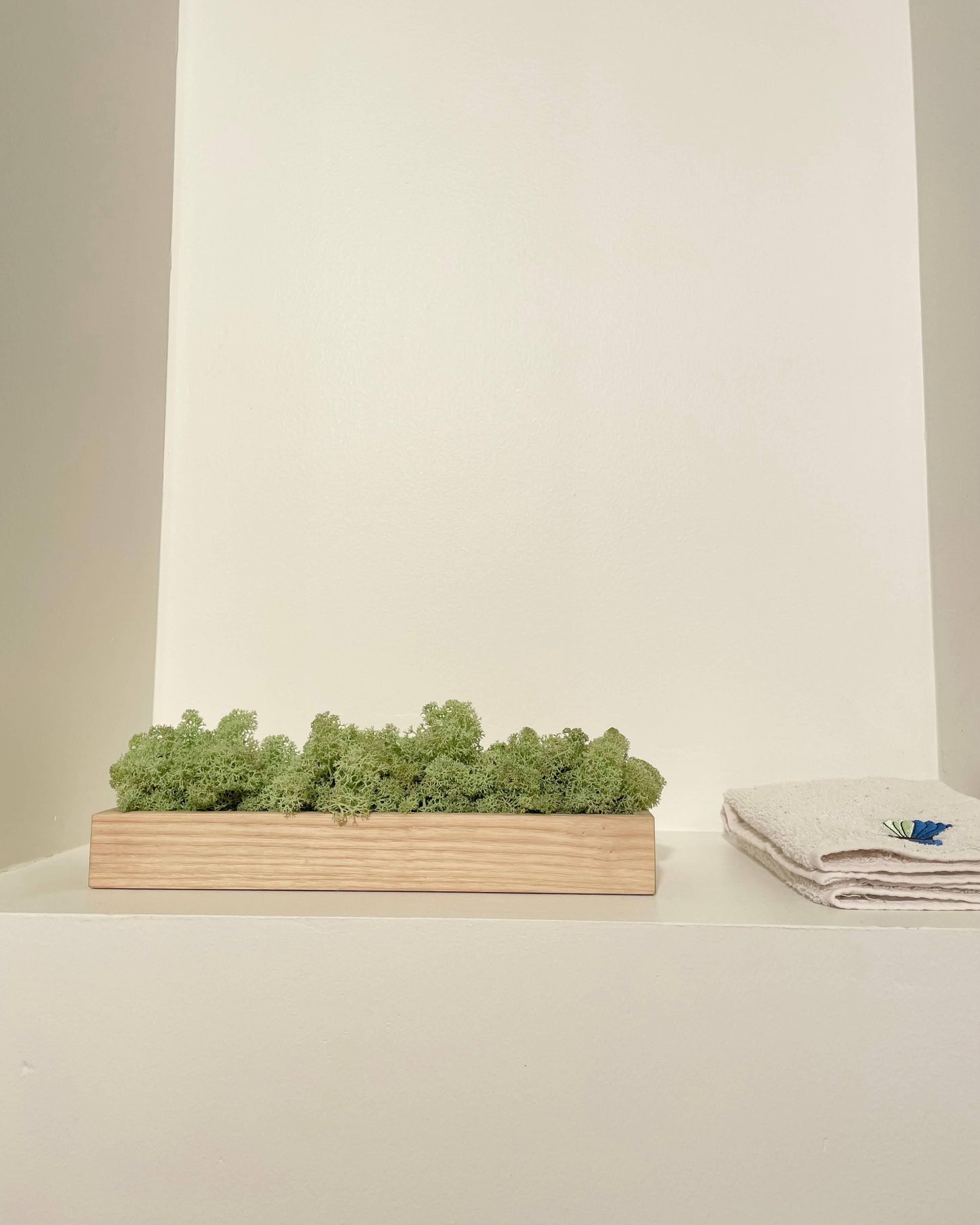 Composition Boîte VIGG Vert menthe Lichen & CO