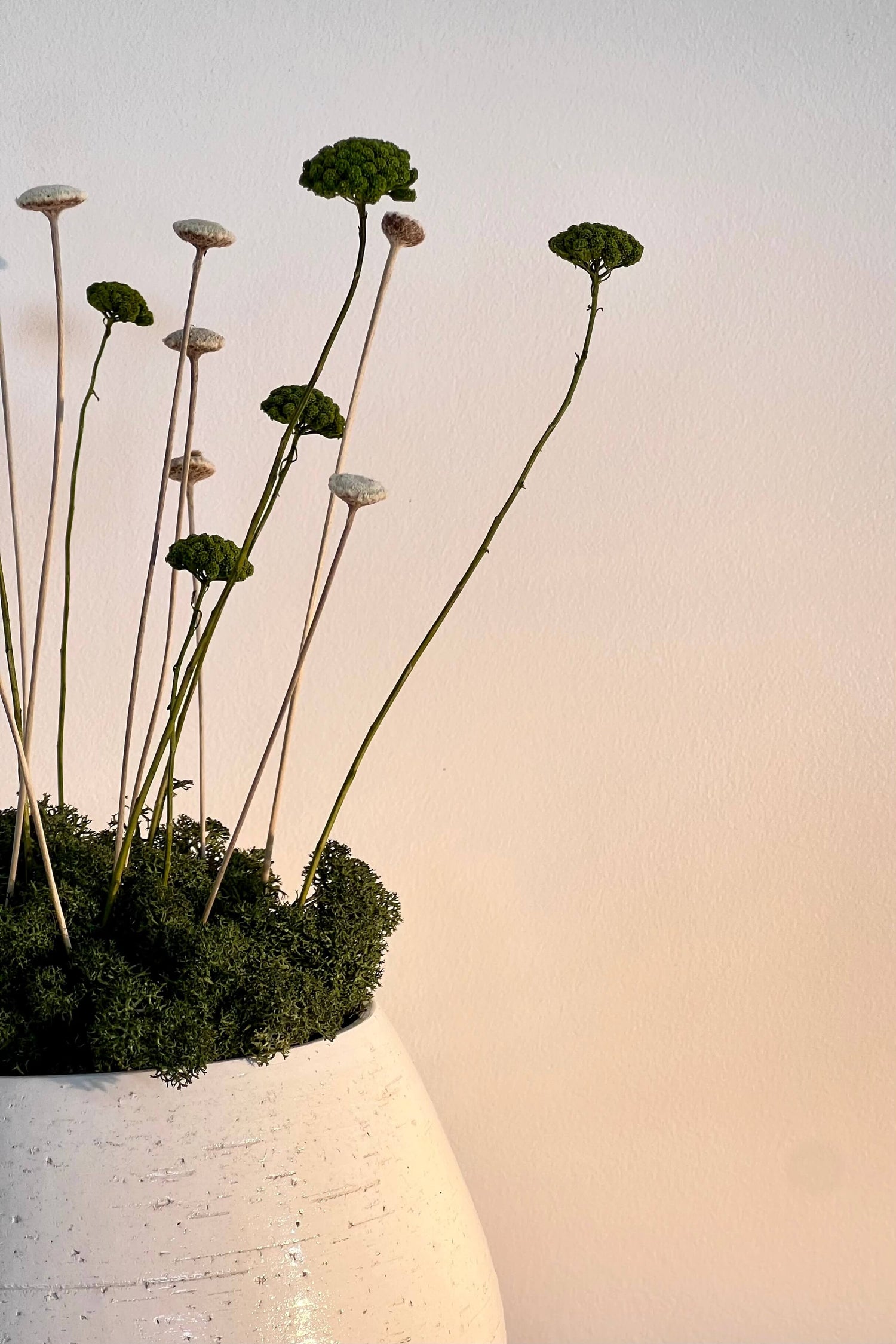 zoom composition florale KATJA dans un poterie blanche avec du lichen vert forêt et des plantes vertes et blanches.