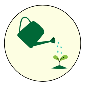 Végétaux stabilisés de demande pas d'entretien. Zéro entretien. Pas d'eau, pas de terre, pas de soleil.