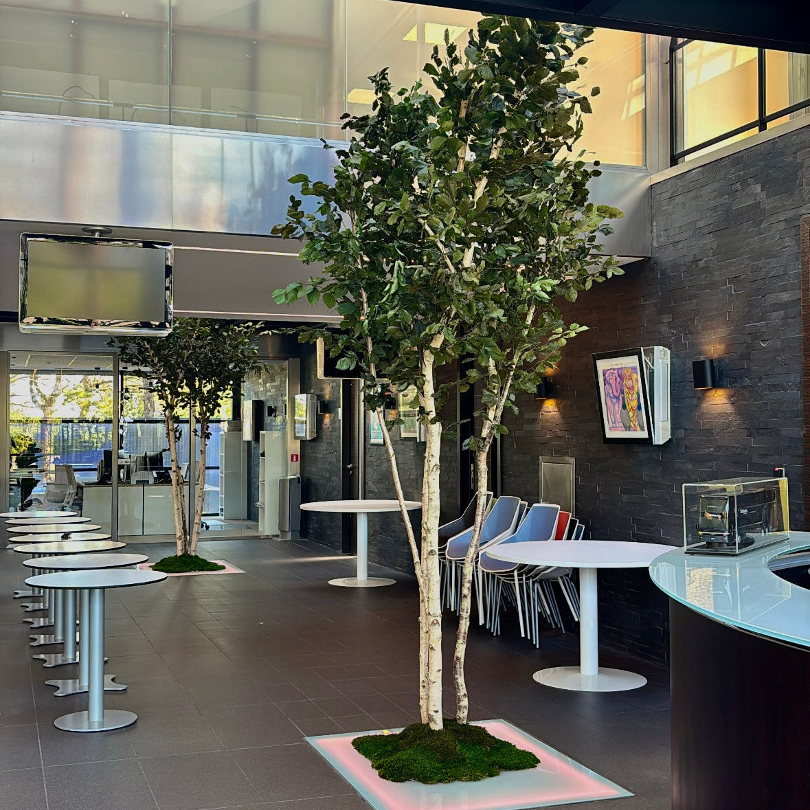 Projet salaun holidays, arbre et jardinière végétale bretagne