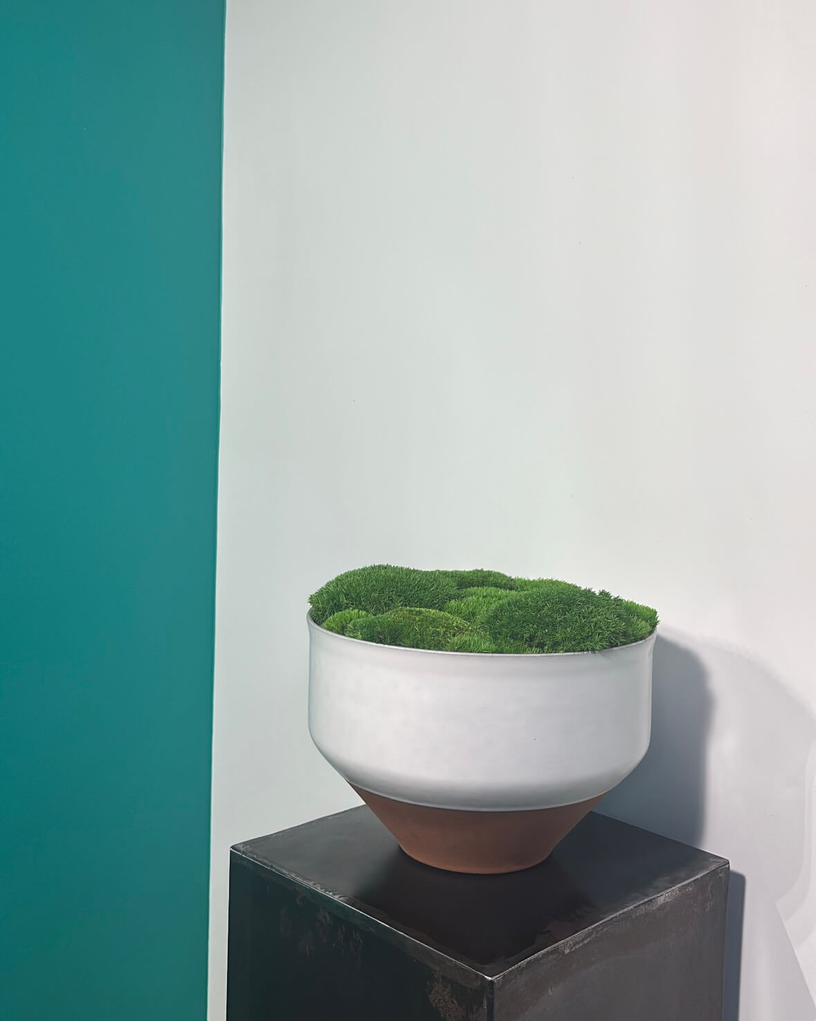 Composition Mousse boule ronde