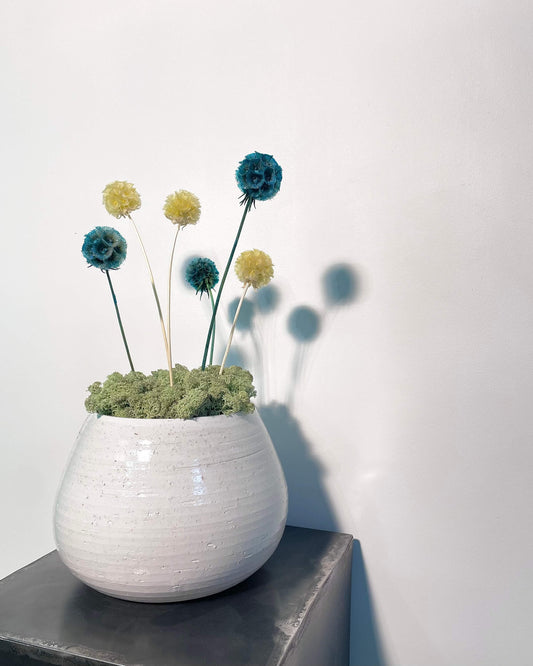 Composition Florale ANILA Lichen&CO Composition Florale