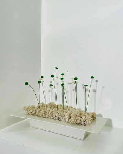 Composition Florale MINNA Lichen&CO Composition Florale