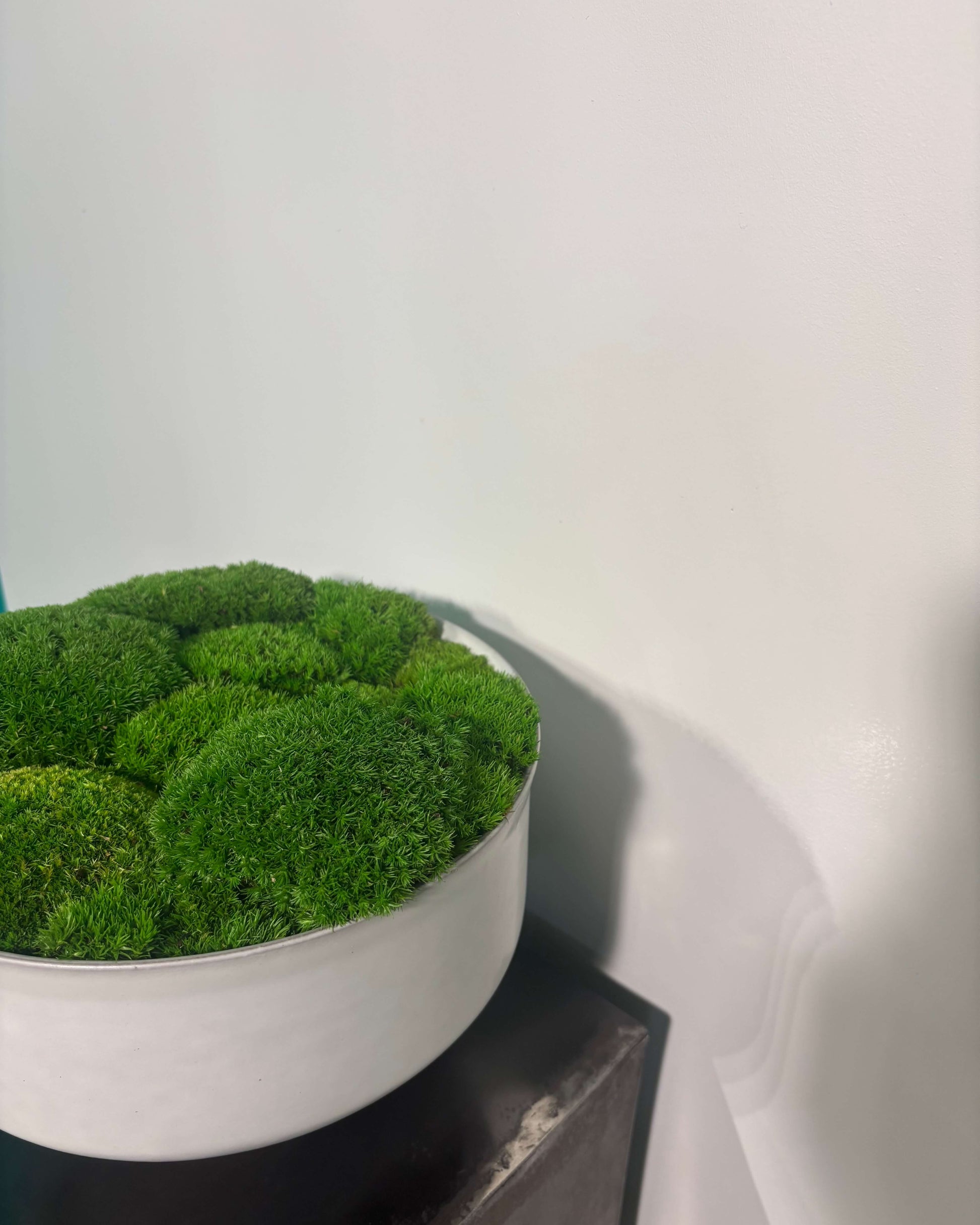 Composition vegetale mousse boule