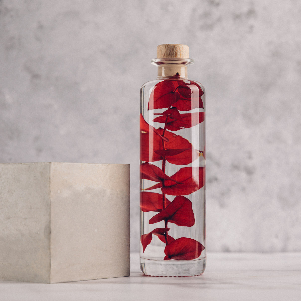 Plante immergée - Eucalyptus Stuartiana rouge