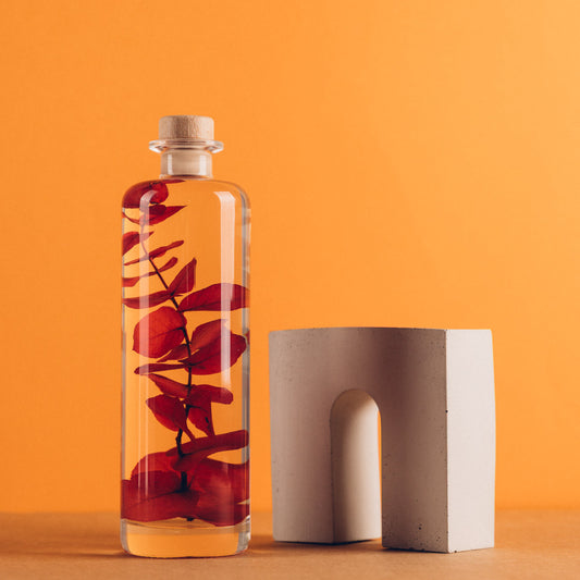 Plante immergée - Eucalyptus Stuartiana rouge