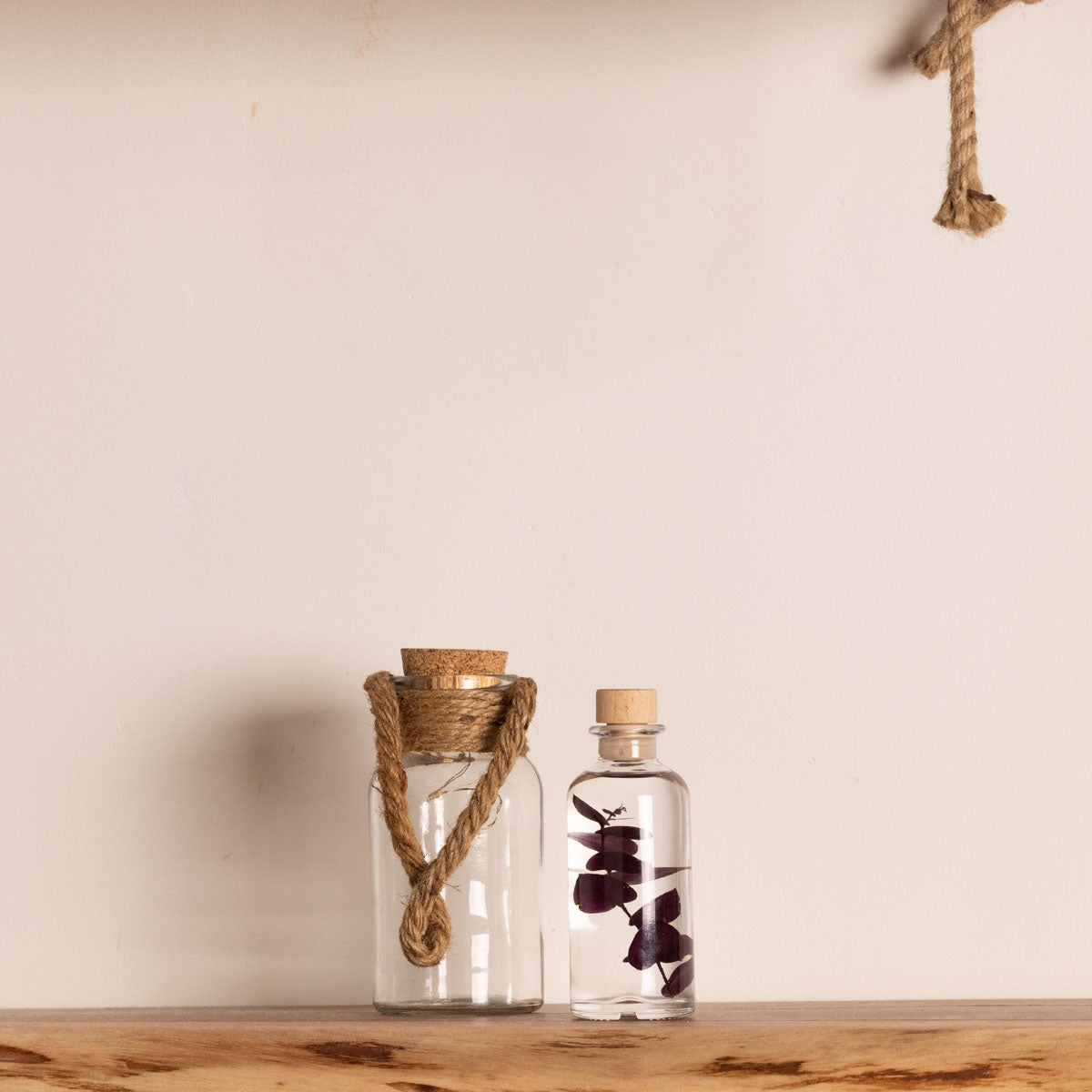 Plante immergée - Eucalyptus violet H12