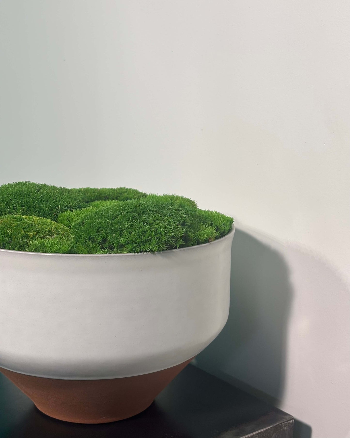 Composition Mousse boule ronde