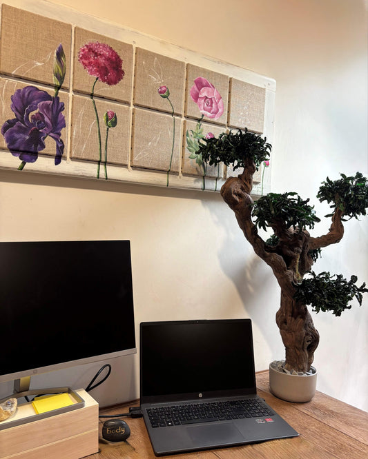 Bonsaï Pittosporum - Arbre stabilisé