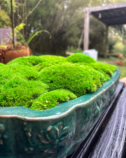 Composition Mousse boule rectangle