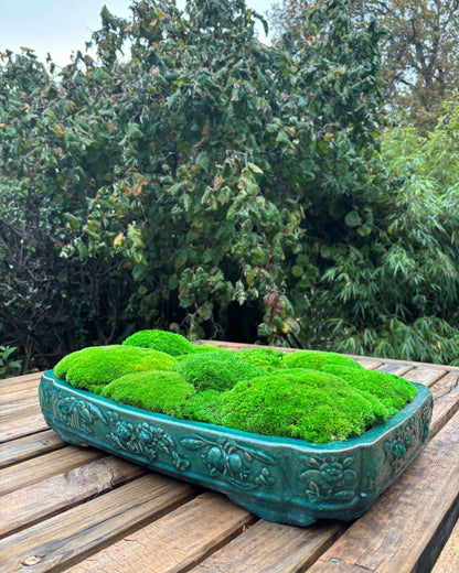 Composition Mousse boule rectangle