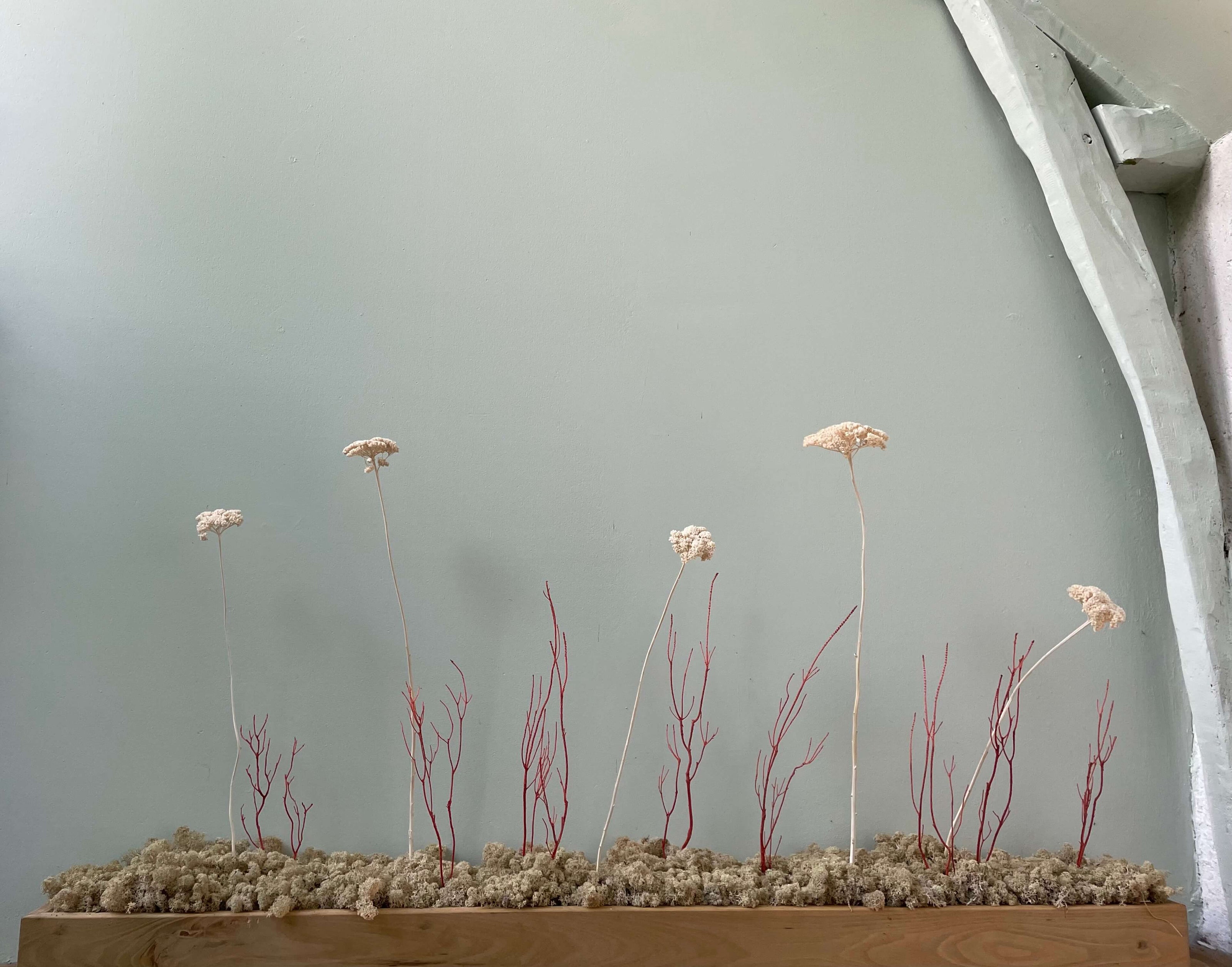 Décoration intérieure au design floral en lichen stabilisé et plantes naturelles stabilisées dans une maison contemporaine. Composition en végétaux stabilisés épuré sur les tons nature.