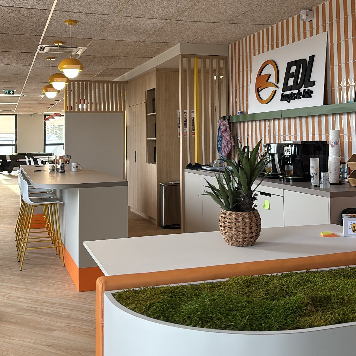 Jardinière arrondie en mousse et végétaux stabilisés dans l'espace cuisine des bureaux Energies de Loire à Guérande