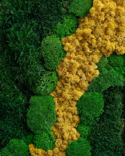 Tableau végétal - Vente unique "L'Éclair"