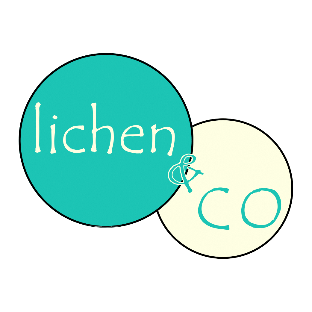 Logo de l'entreprise Lichen and Co. Vert turquoise et beige, le logo est composé de deux ronds colorés.