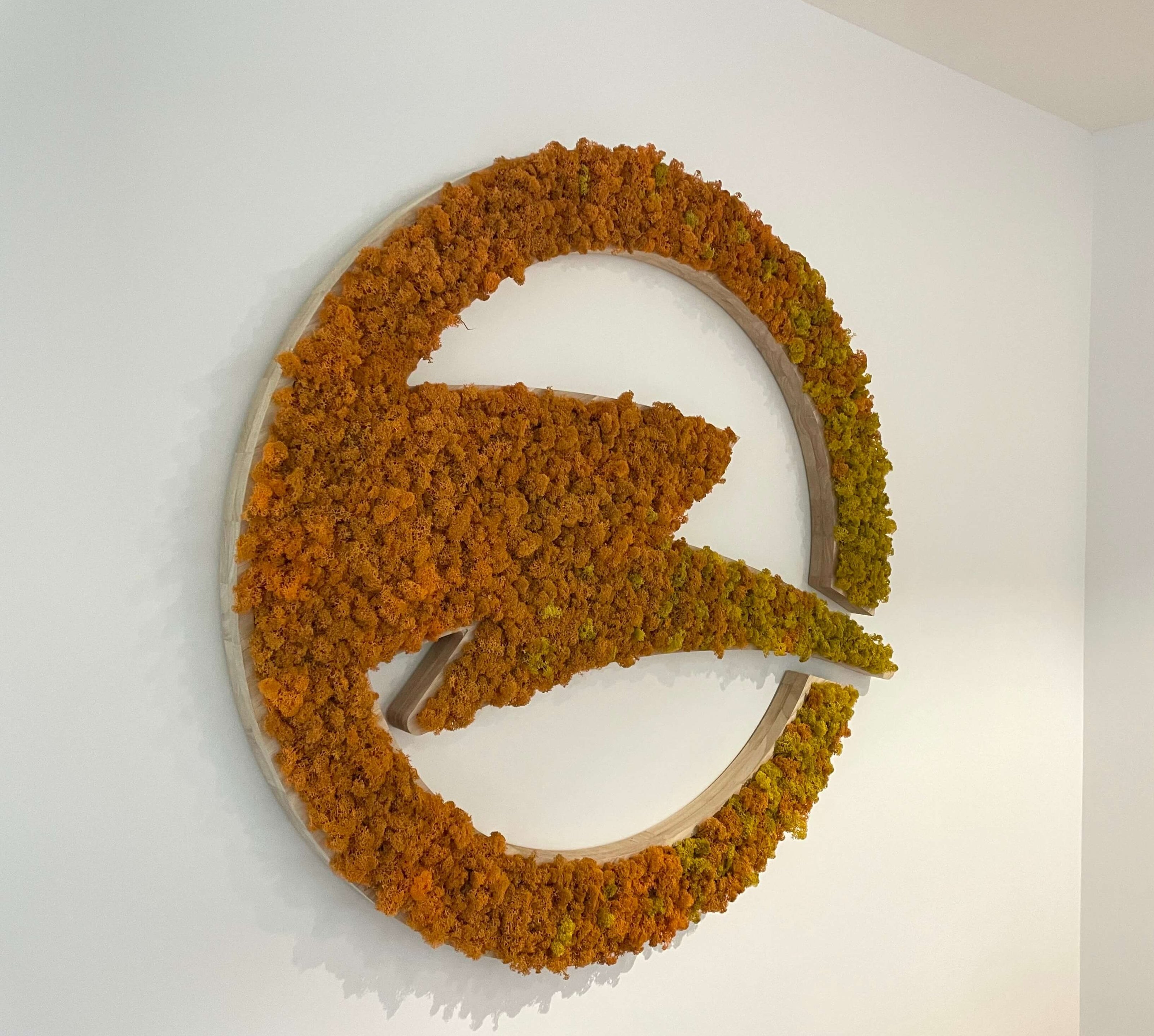 Logo végétal entreprise, logo au mur orange et jaune, projet sur mesure Lichen&CO